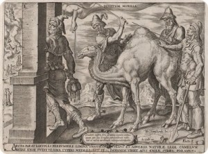 camel_2